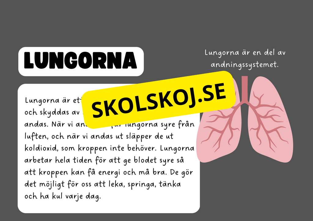 Vår fantastiska kropp - Fakta och frågor