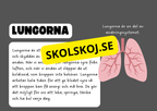 Vår fantastiska kropp - Fakta och frågor