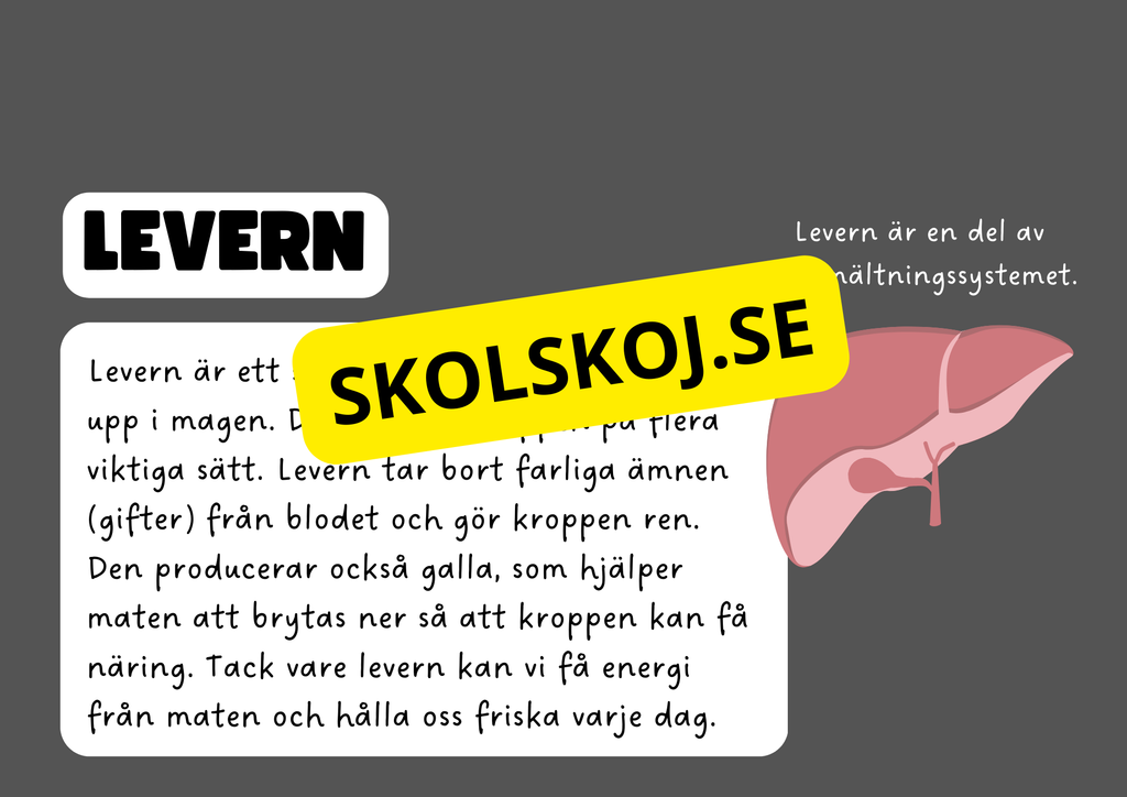 Vår fantastiska kropp - Fakta och frågor