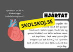 Vår fantastiska kropp - Fakta och frågor
