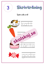 Skrivträning - Häfte