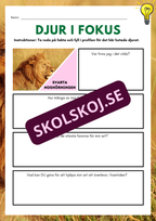 Djur i fokus - Häfte