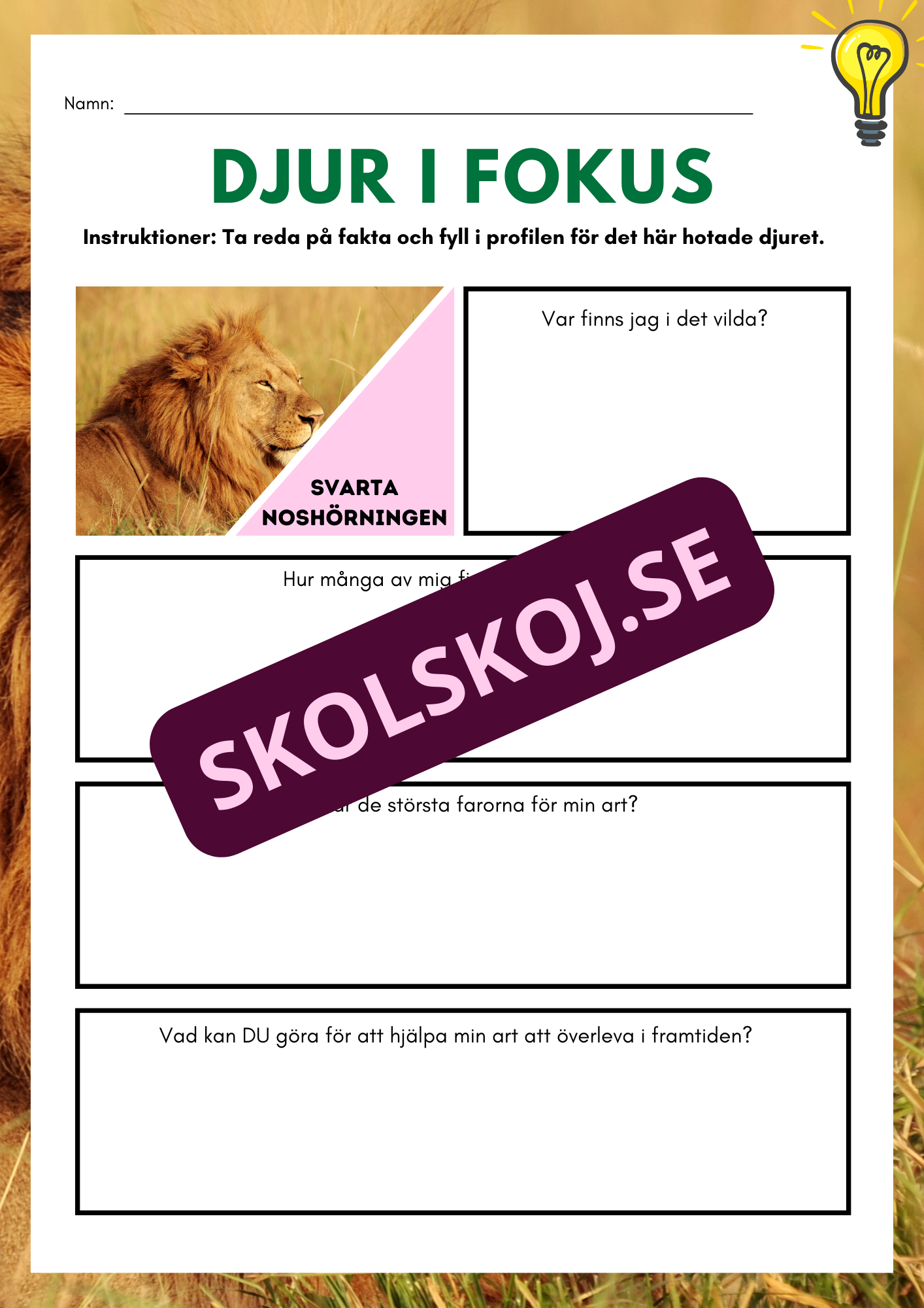 Djur i fokus - Häfte