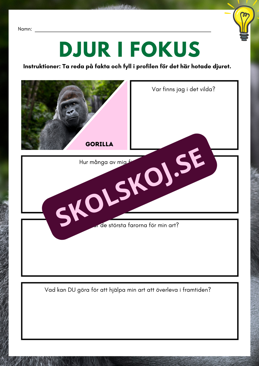 Djur i fokus - Häfte