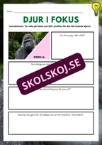 Djur i fokus - Häfte