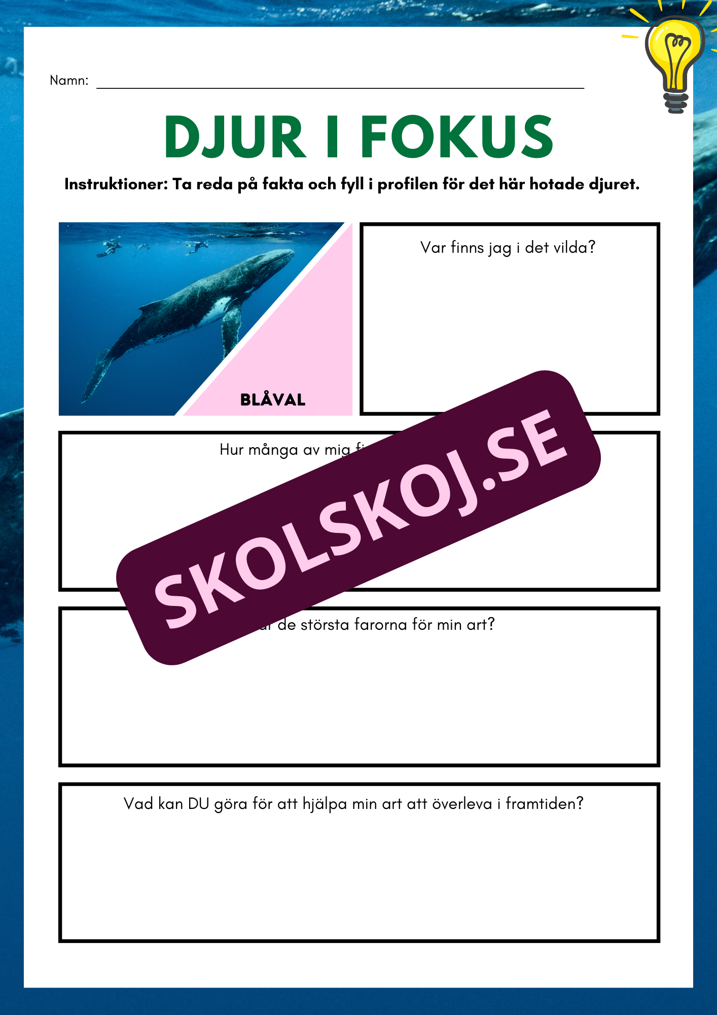 Djur i fokus - Häfte