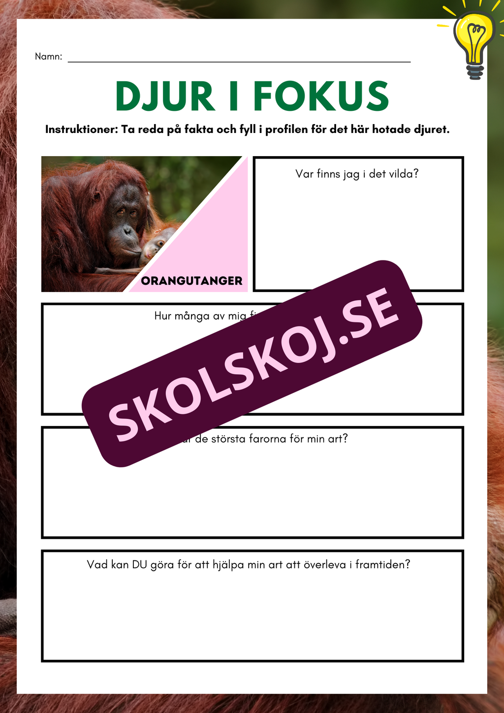 Djur i fokus - Häfte