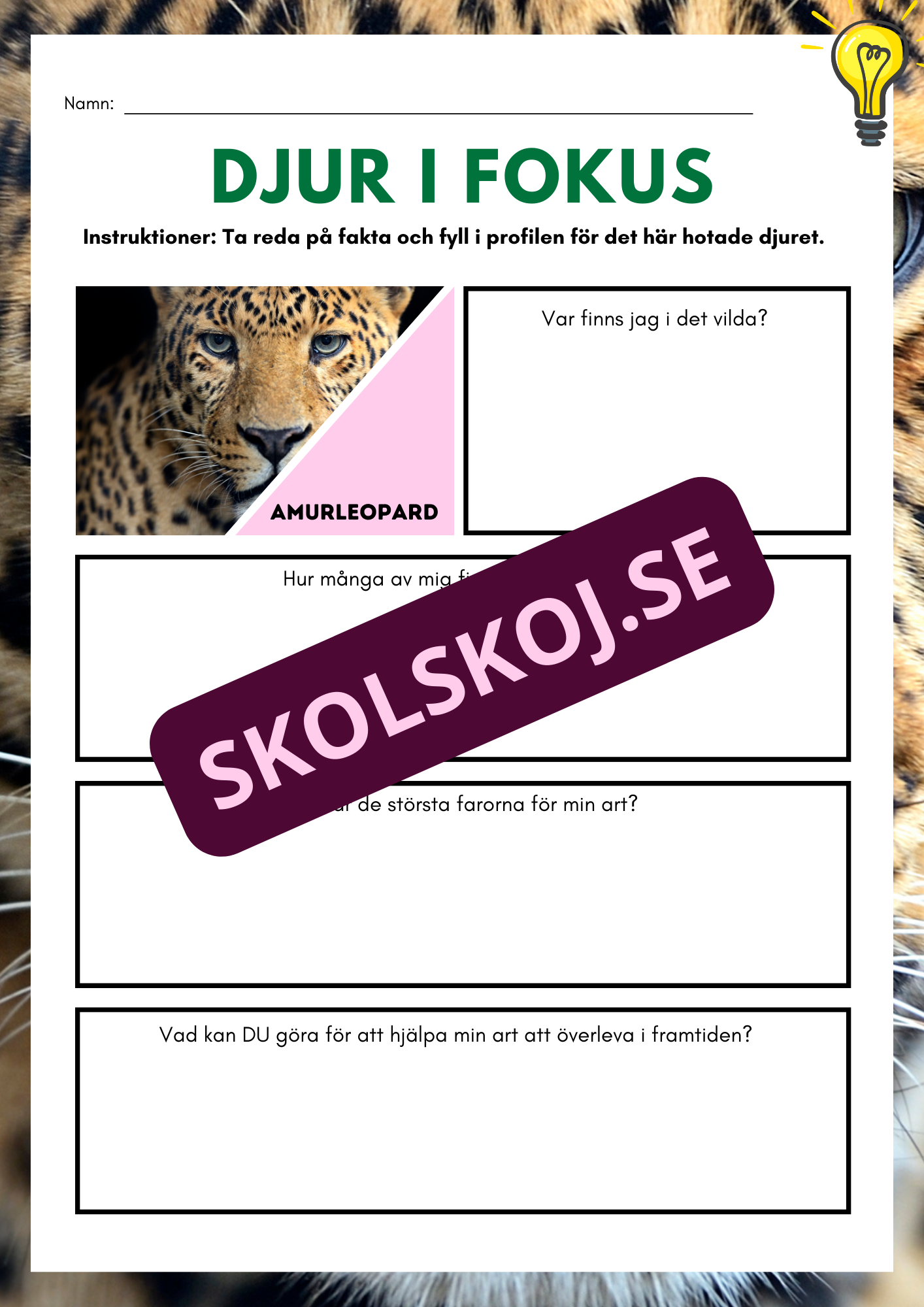 Djur i fokus - Häfte