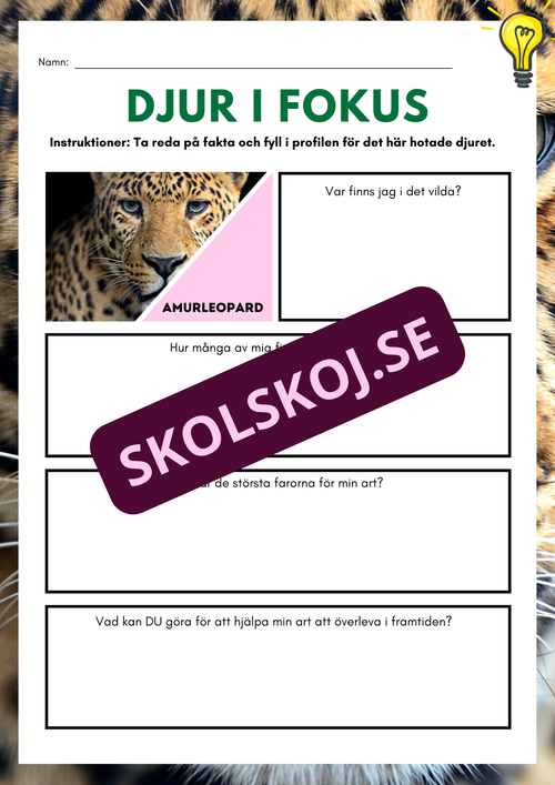 Djur i fokus - Häfte