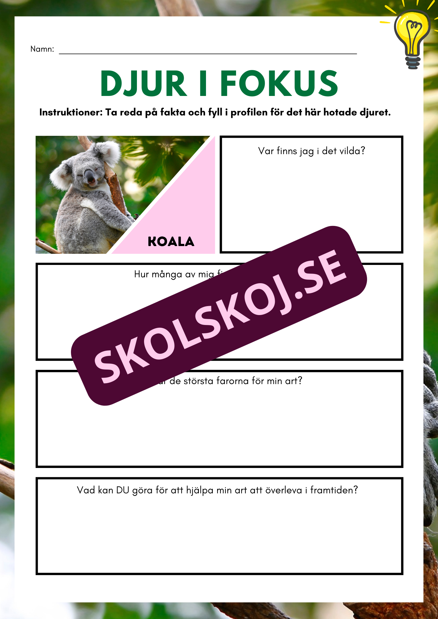 Djur i fokus - Häfte