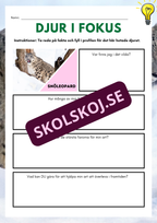 Djur i fokus - Häfte