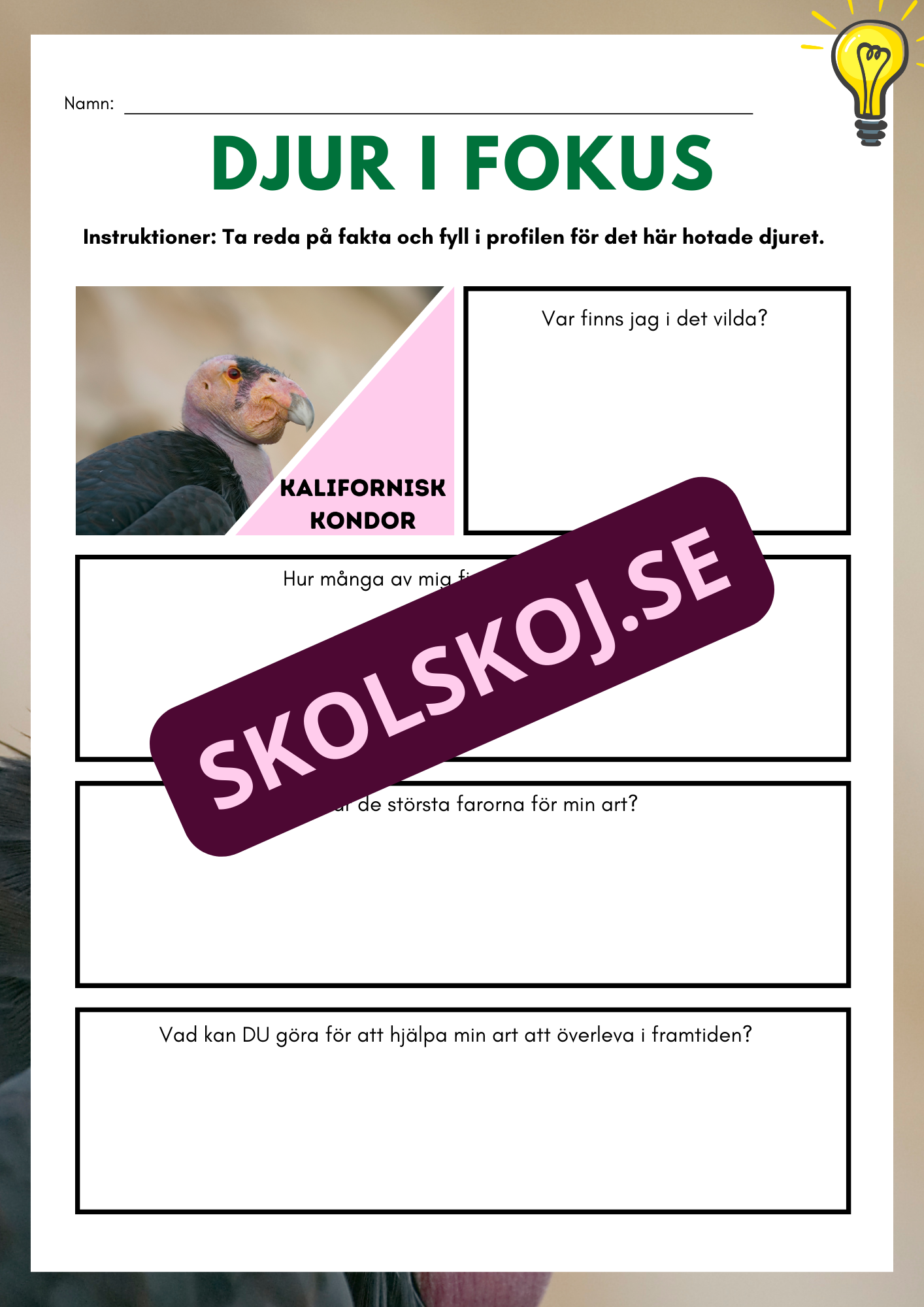 Djur i fokus - Häfte