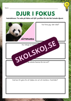 Djur i fokus - Häfte