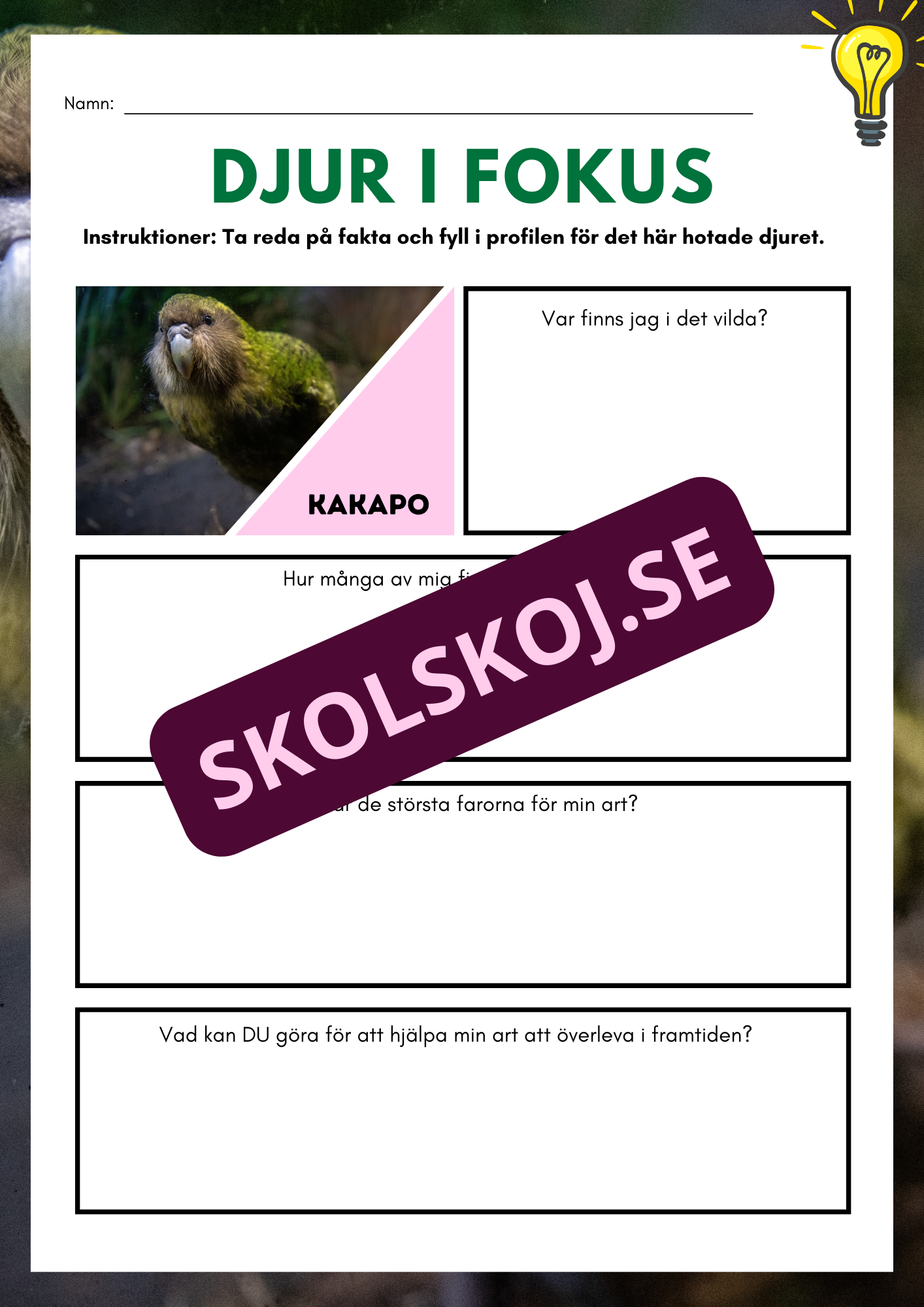 Djur i fokus - Häfte