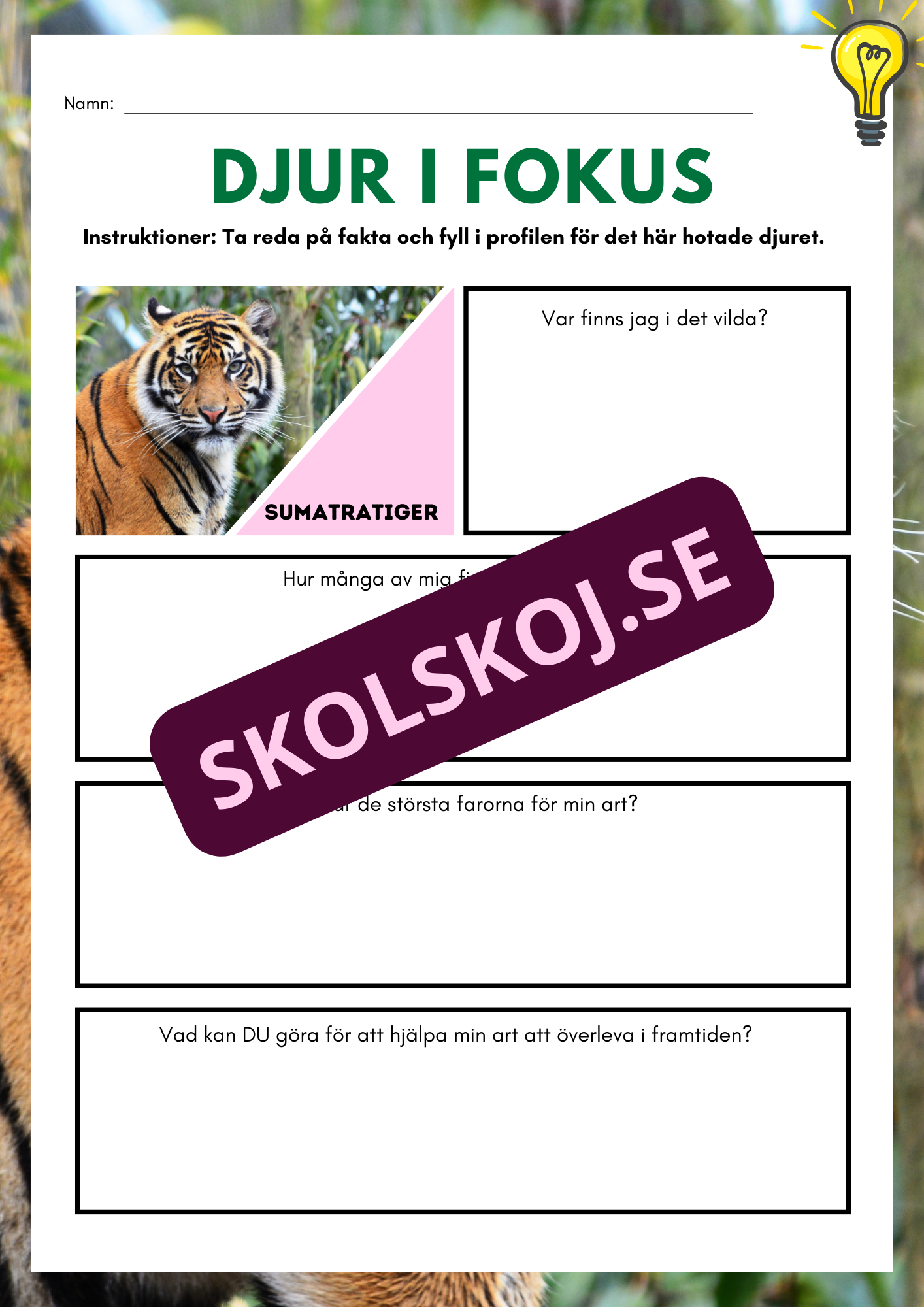 Djur i fokus - Häfte