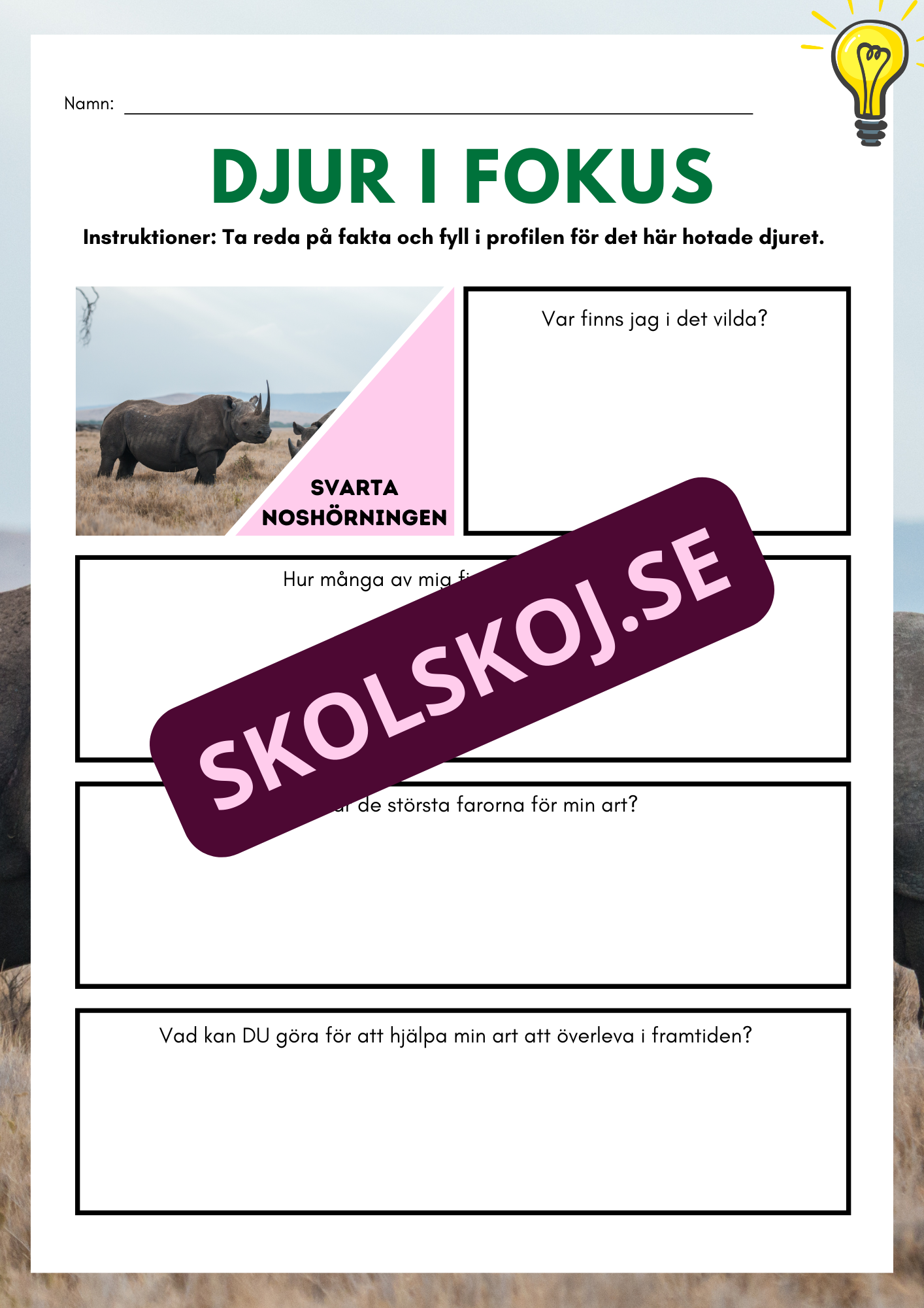 Djur i fokus - Häfte
