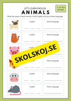 Beginners Spelling