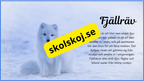Arktiska djur - Fakta + frågor