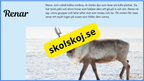 Arktiska djur - Fakta + frågor