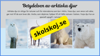 Arktiska djur - Fakta + frågor
