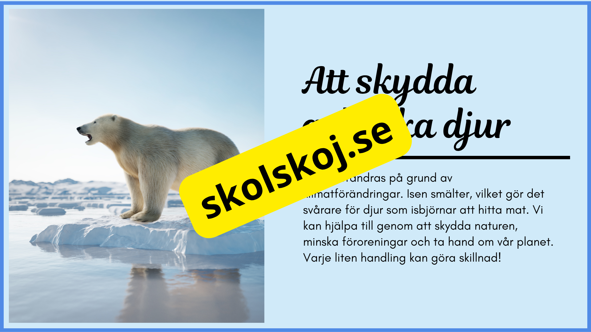 Arktiska djur - Fakta + frågor