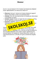 Artkunskap - Blommor - Åk 4 - 6