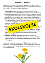 Artkunskap - Blommor - Åk 4 - 6
