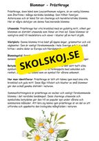 Artkunskap - Blommor - Åk 4 - 6