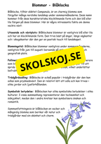 Artkunskap - Blommor - Åk 4 - 6