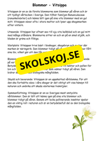Artkunskap - Blommor - Åk 4 - 6