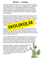 Artkunskap - Blommor - Åk 4 - 6