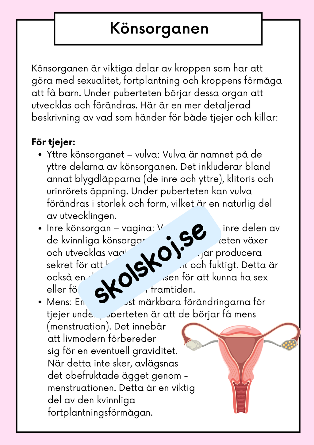 Att förstå puberteten - Relationer och identitet - Årskurs 7 - 9