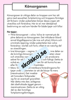 Att förstå puberteten - Relationer och identitet - Årskurs 7 - 9