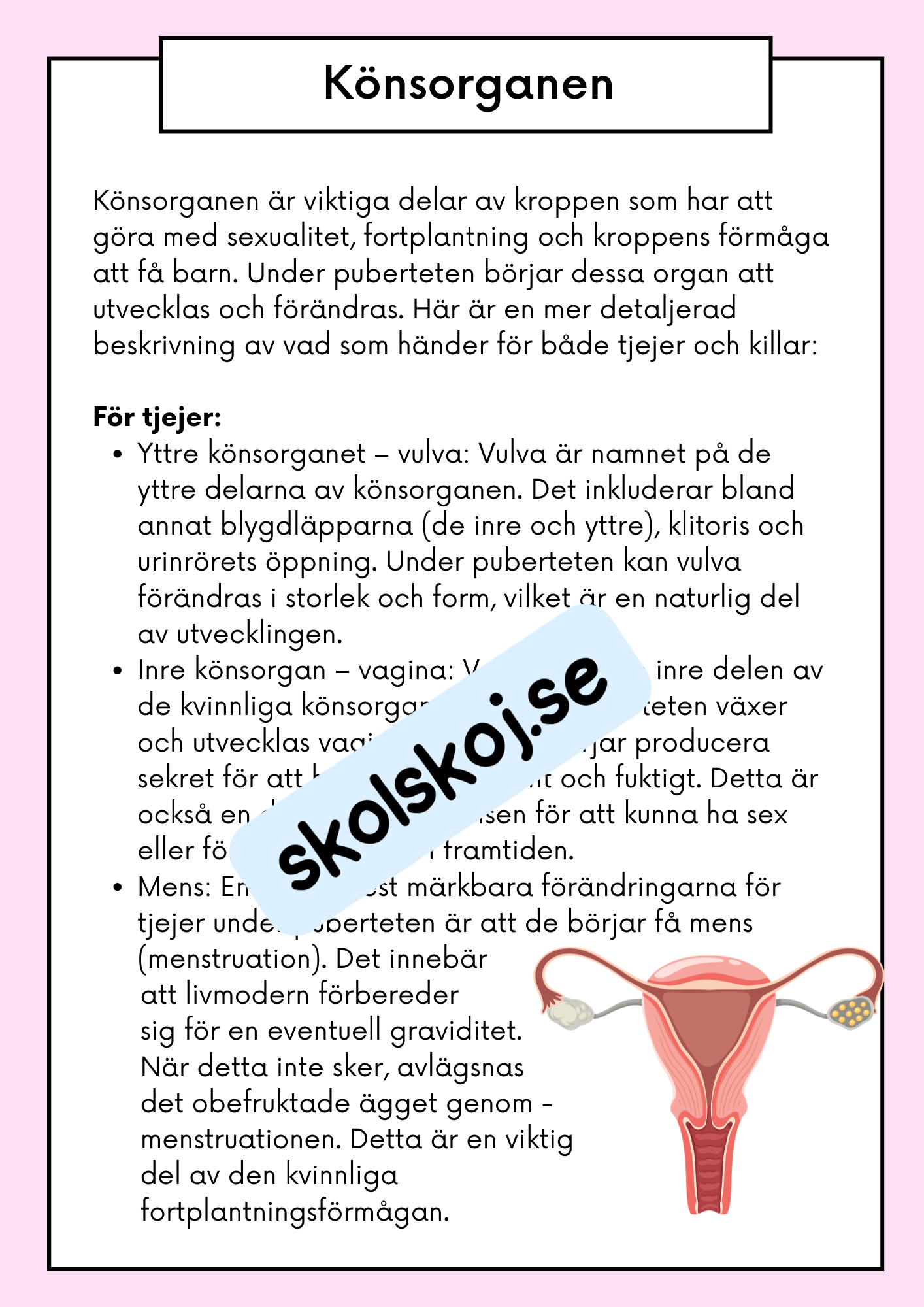 Att förstå puberteten - Relationer och identitet - Årskurs 7 - 9