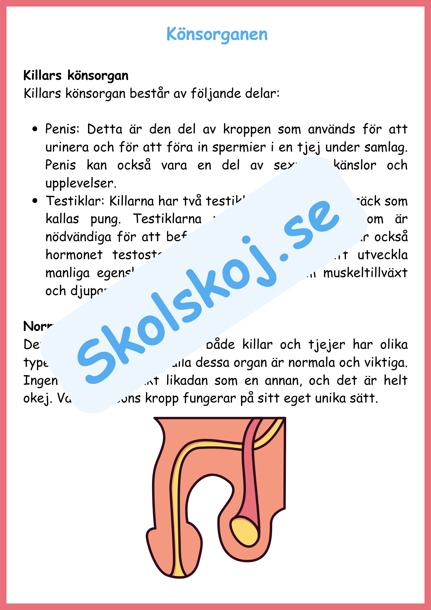 Att växa - En guide om puberteten