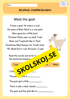 Basic reading comprehension - Enkel läsförståelse - Engelska