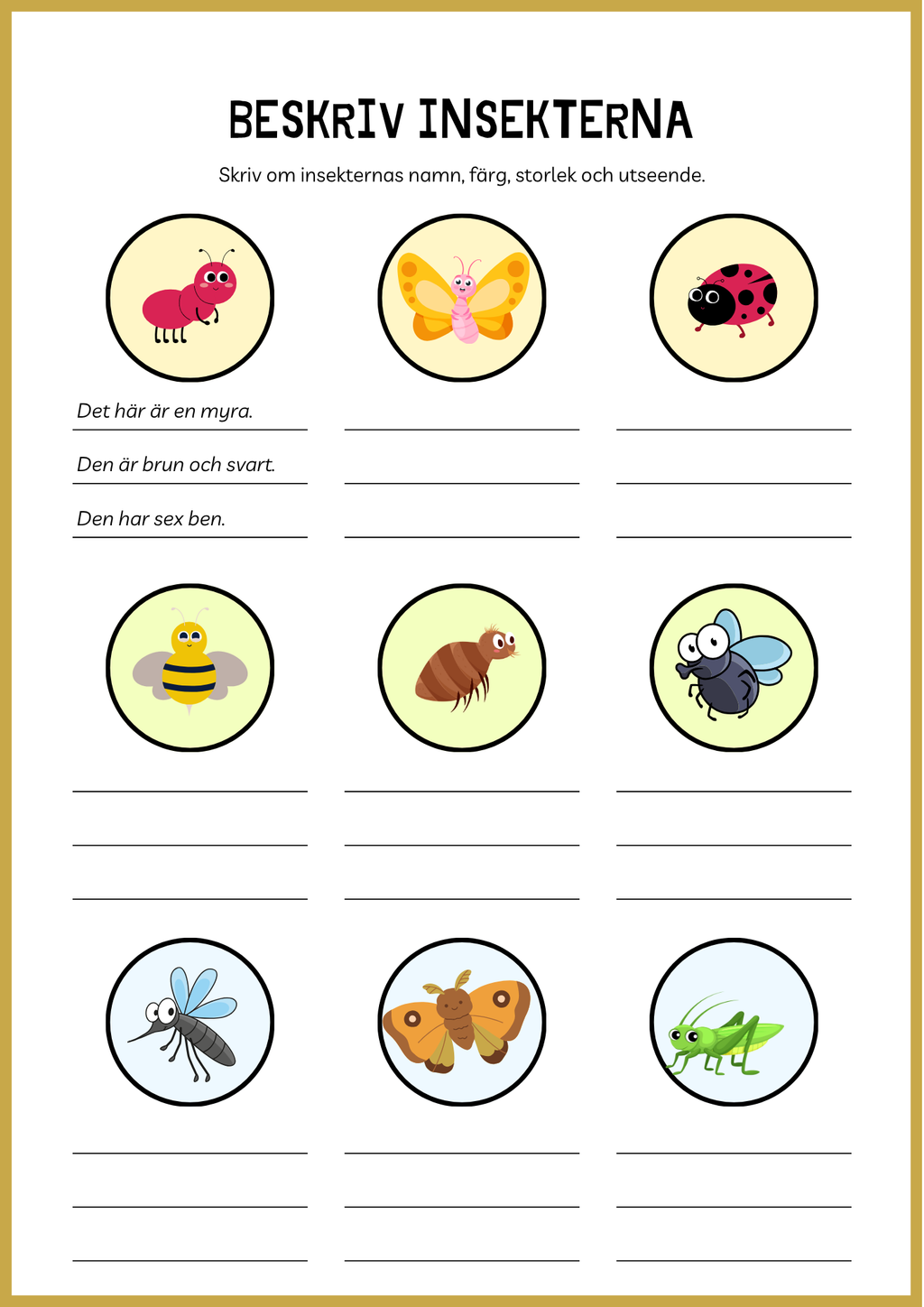 Beskriv insekterna