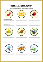 Beskriv insekterna