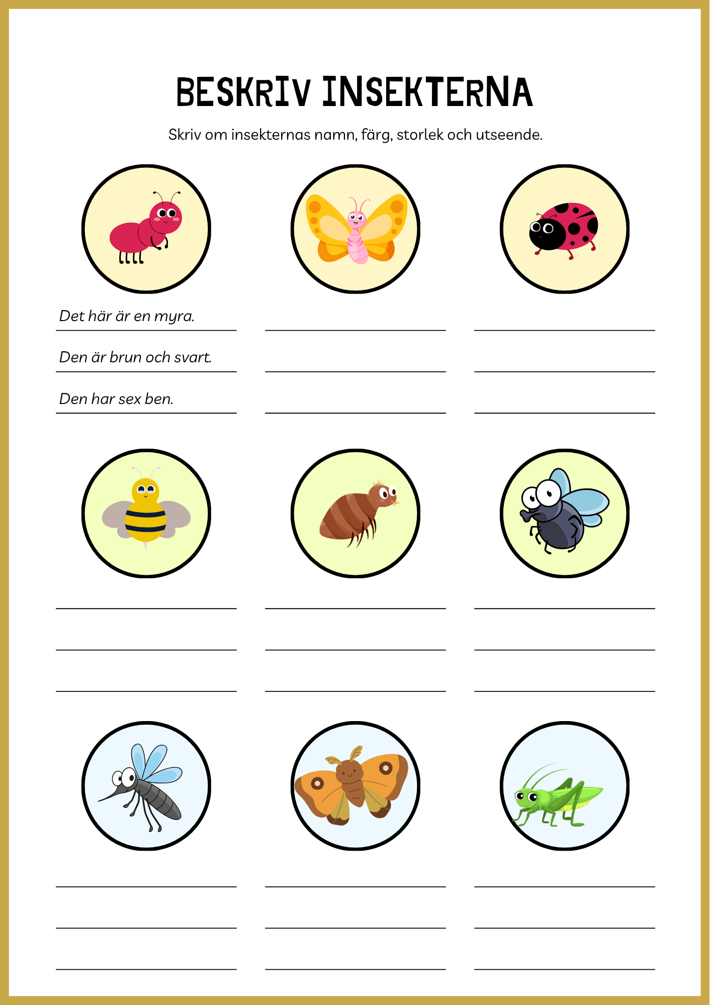 Beskriv insekterna