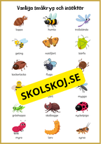 Beskriv insekterna
