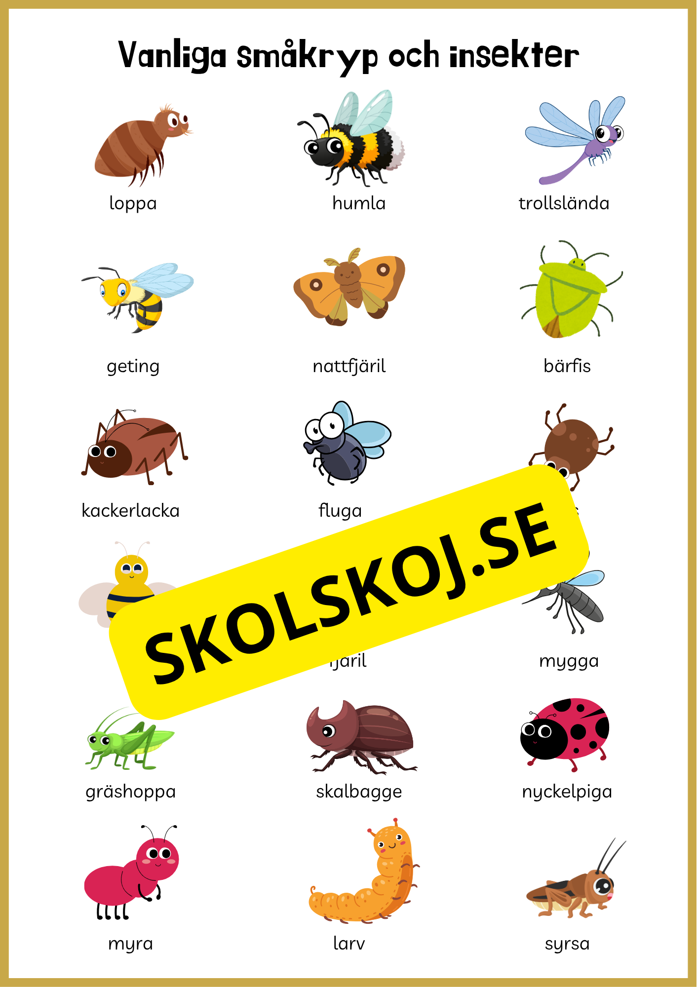 Beskriv insekterna