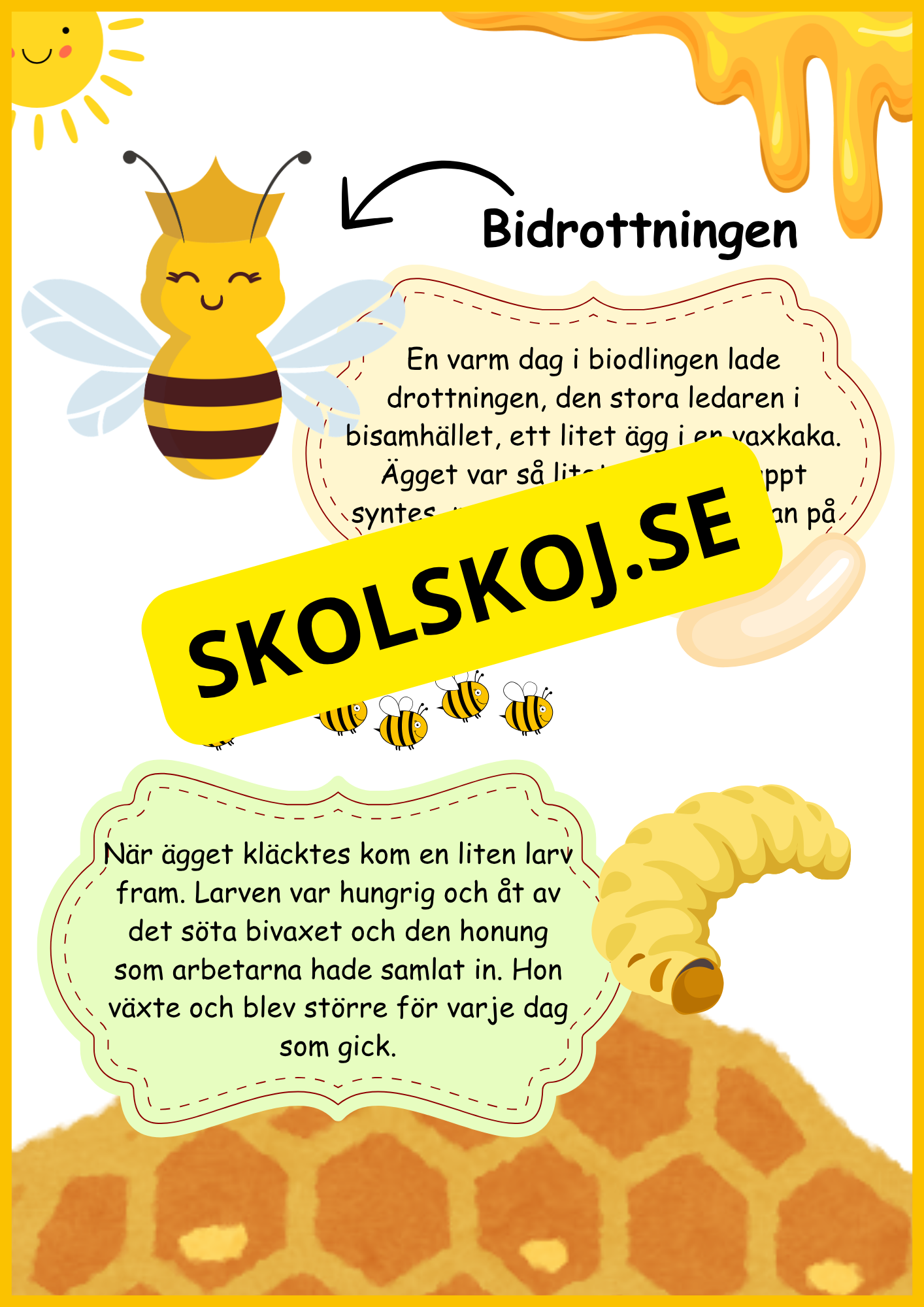 Biets livscykel