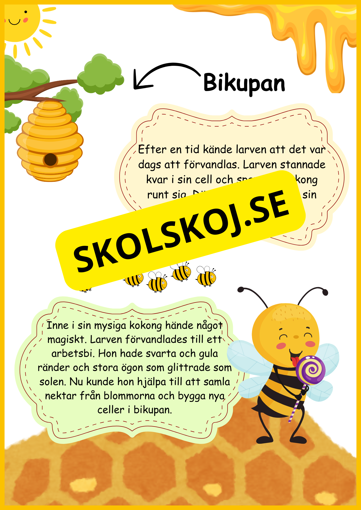 Biets livscykel