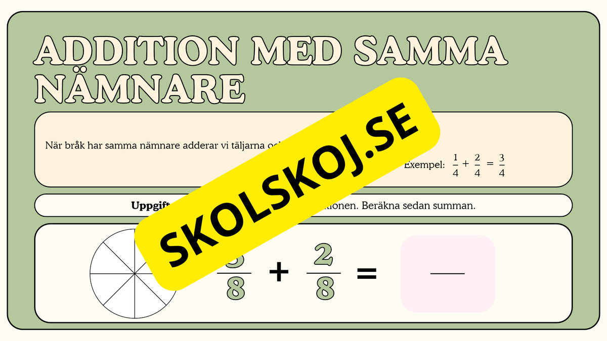 Bråk i fokus