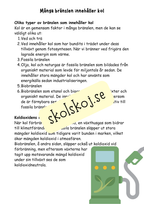 Bränslen och kemiska reaktioner  - Årskurs 4 - 6 - NO