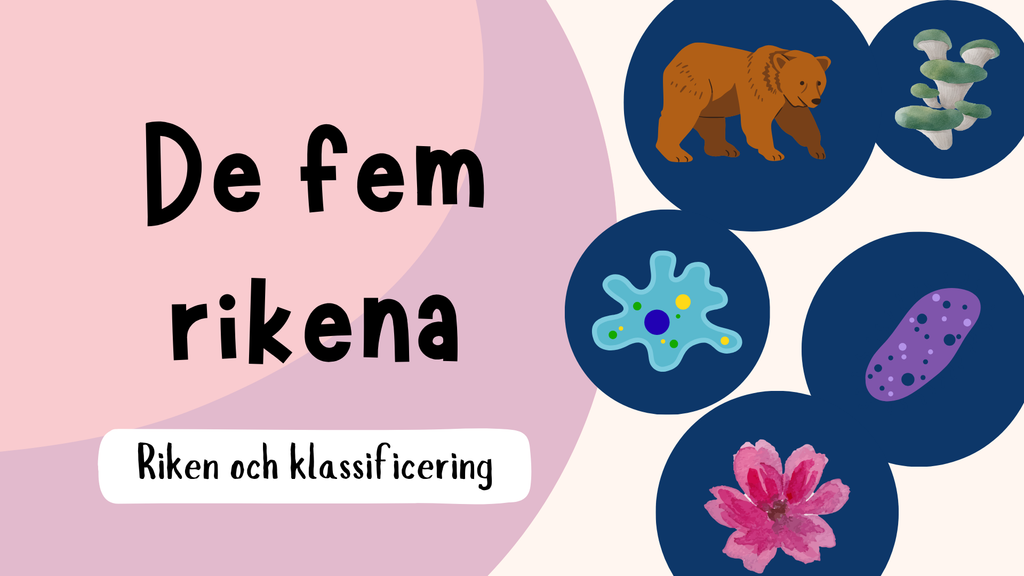 De fem rikena och deras egenskaper - Lektionsstöd och presentation
