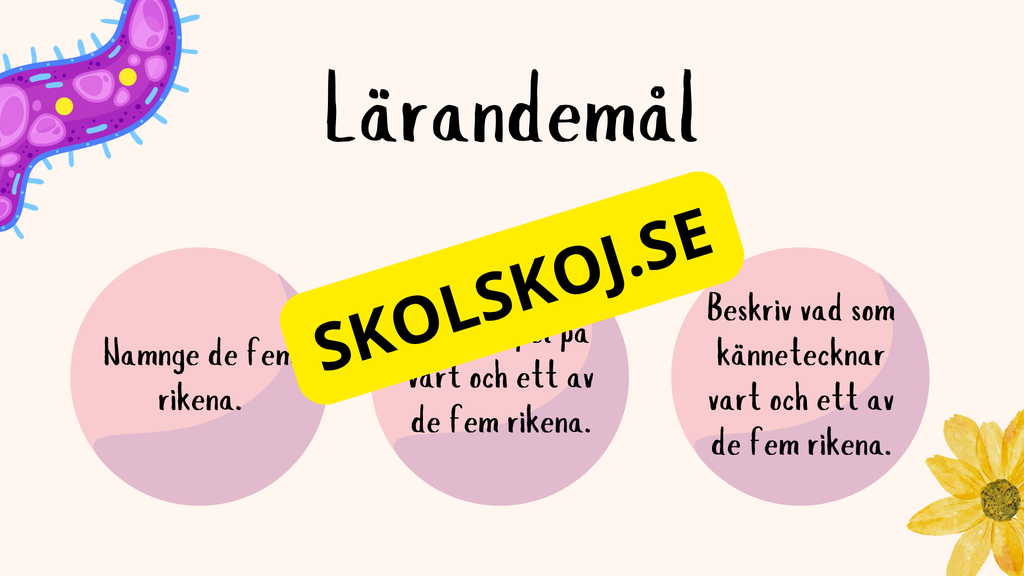De fem rikena och deras egenskaper - Lektionsstöd och presentation