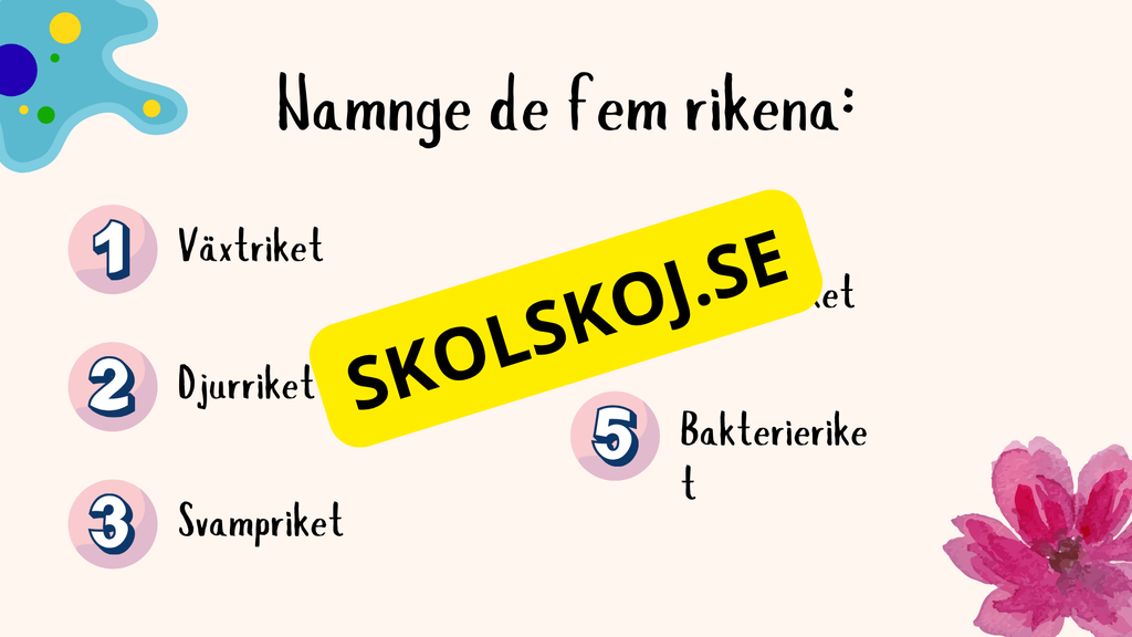 De fem rikena och deras egenskaper - Lektionsstöd och presentation