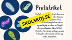 De fem rikena och deras egenskaper - Lektionsstöd och presentation