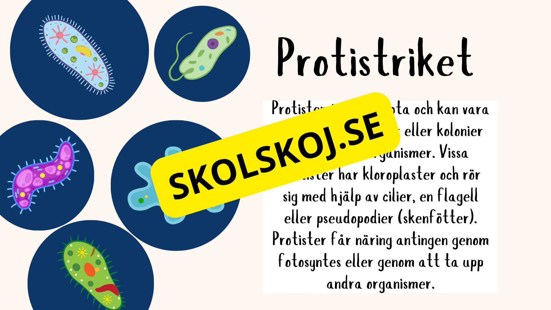 De fem rikena och deras egenskaper - Lektionsstöd och presentation